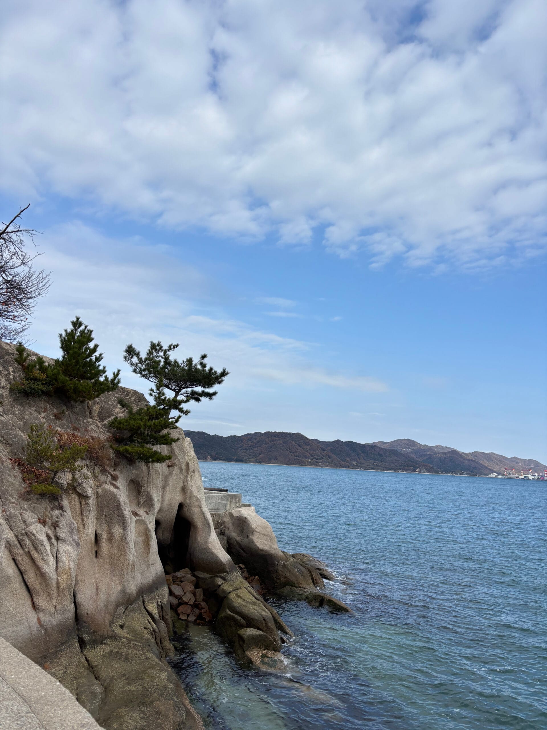 JPE日本幼兒園交換計畫｜大久野島｜兔子島