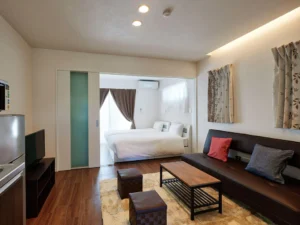 6496411_19013009410071849537